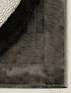 "Shell, " Original Etching signed by Arthur Luiz Piza