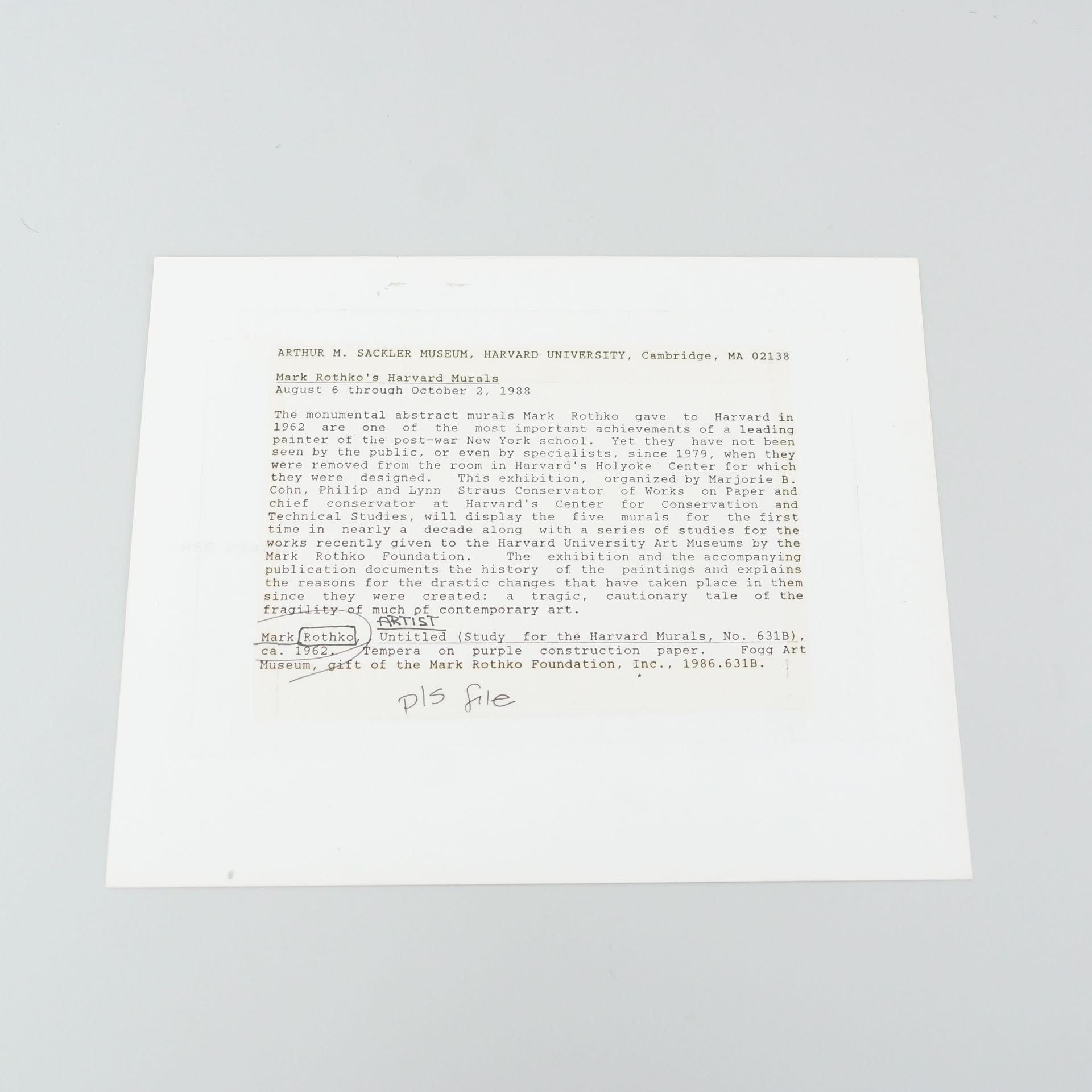 Arthur M. Sackler Museumsfotografie von Mark Rothko's Harvard-Wandbildern, um 1988 im Angebot 9