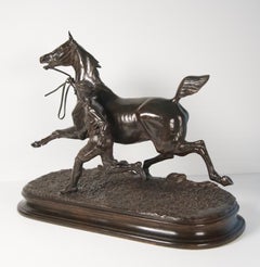 Cheval à l'entraînement avec son lad