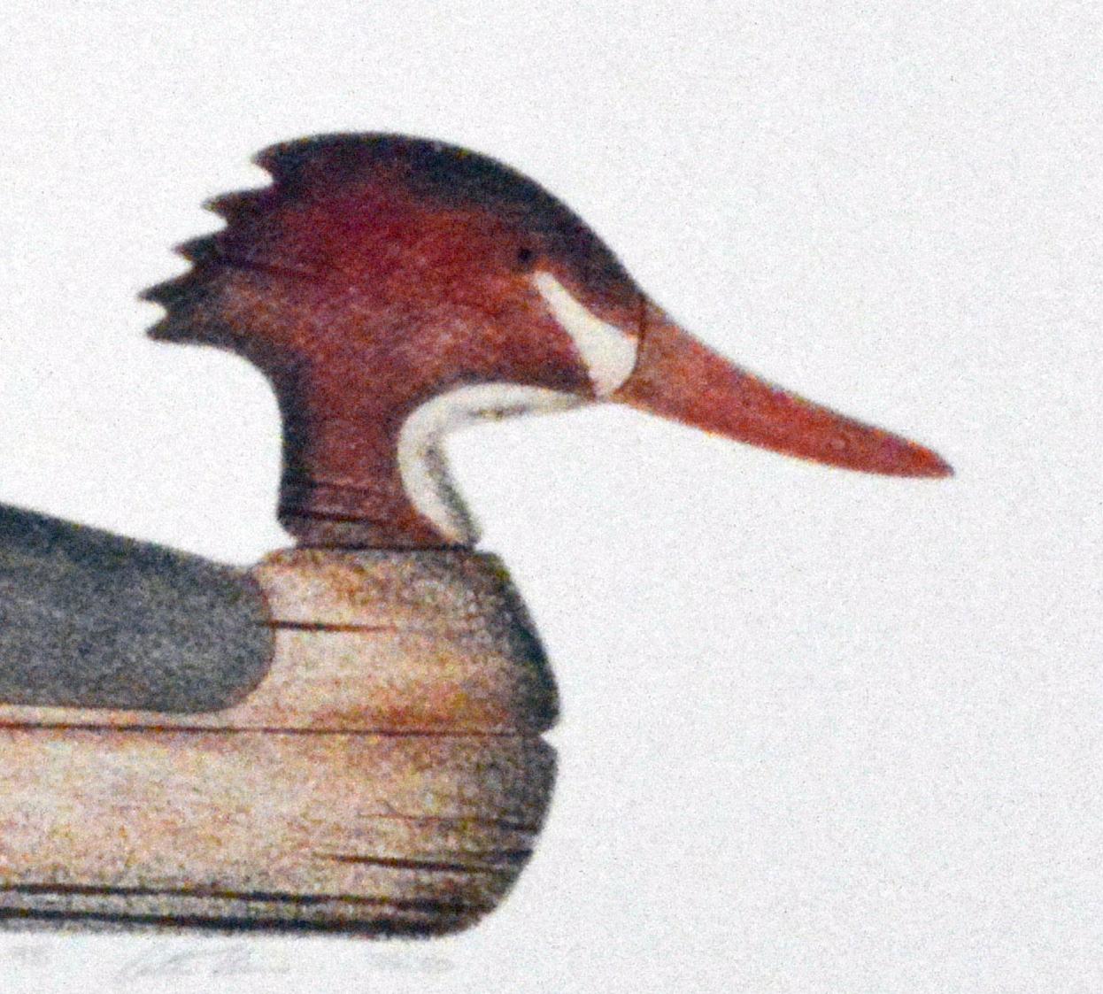 20ième siècle Impression d'Arthur Nevin d'un bois décoré d'un canard sauterelle à la cuve rouge, Beach Haven, NJ en vente