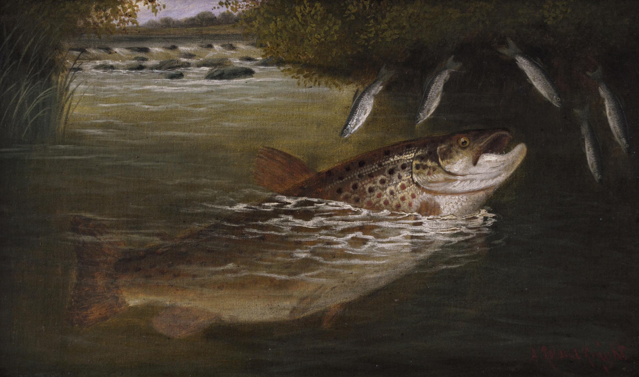 19th Century pair of sporting angling oil paintings of a trout & pike  - Painting by Arthur Roland Knight