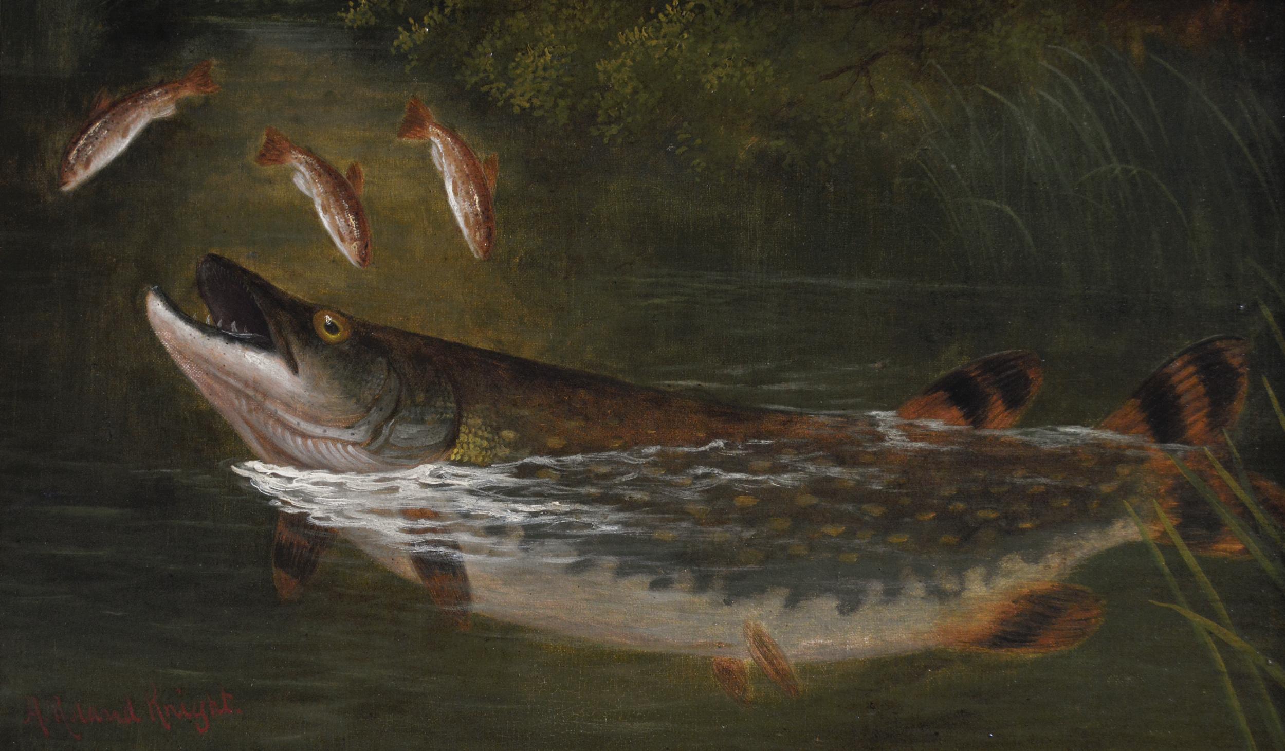 19th Century pair of sporting angling oil paintings of a trout & pike  - Victorian Painting by Arthur Roland Knight