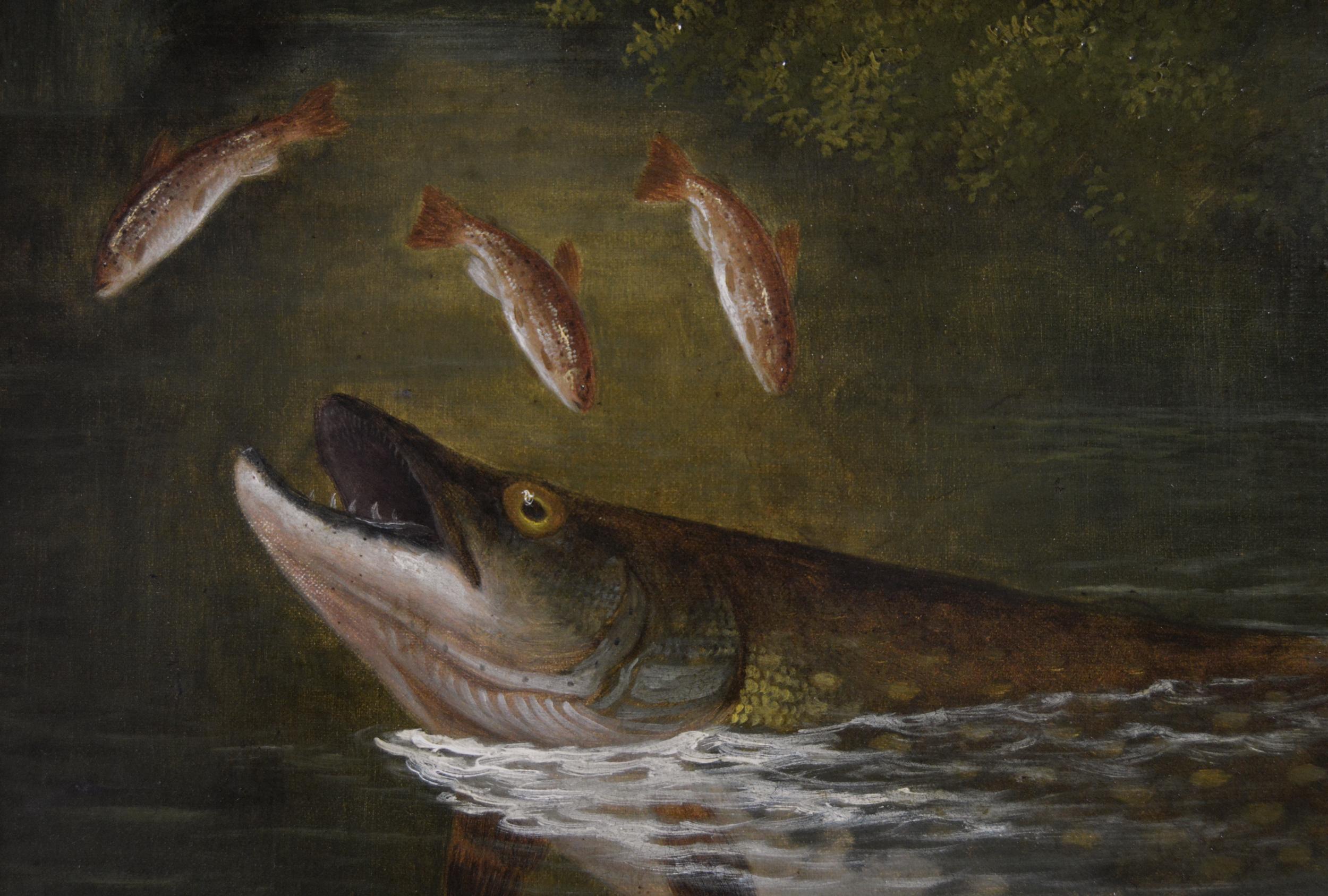 19th Century pair of sporting angling oil paintings of a trout & pike - Brown Animal Painting by Arthur Roland Knight