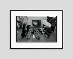 Bezaubernde Audience von Arthur Steel