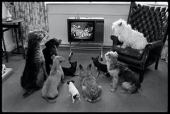 Vintage Captivated Audience by Arthur Steel