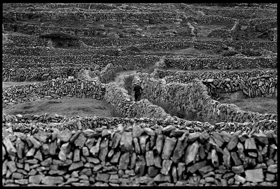 Inisheer Limestone Walls

By Arthur Steel 

Paper size: 44 x 33.5" / 112 x 85 cm

Silver Gelatin Print
1960 (printed later)
unframed
hand signed
limited edition of 30

note other print sizes and framing options are available, please enquire for