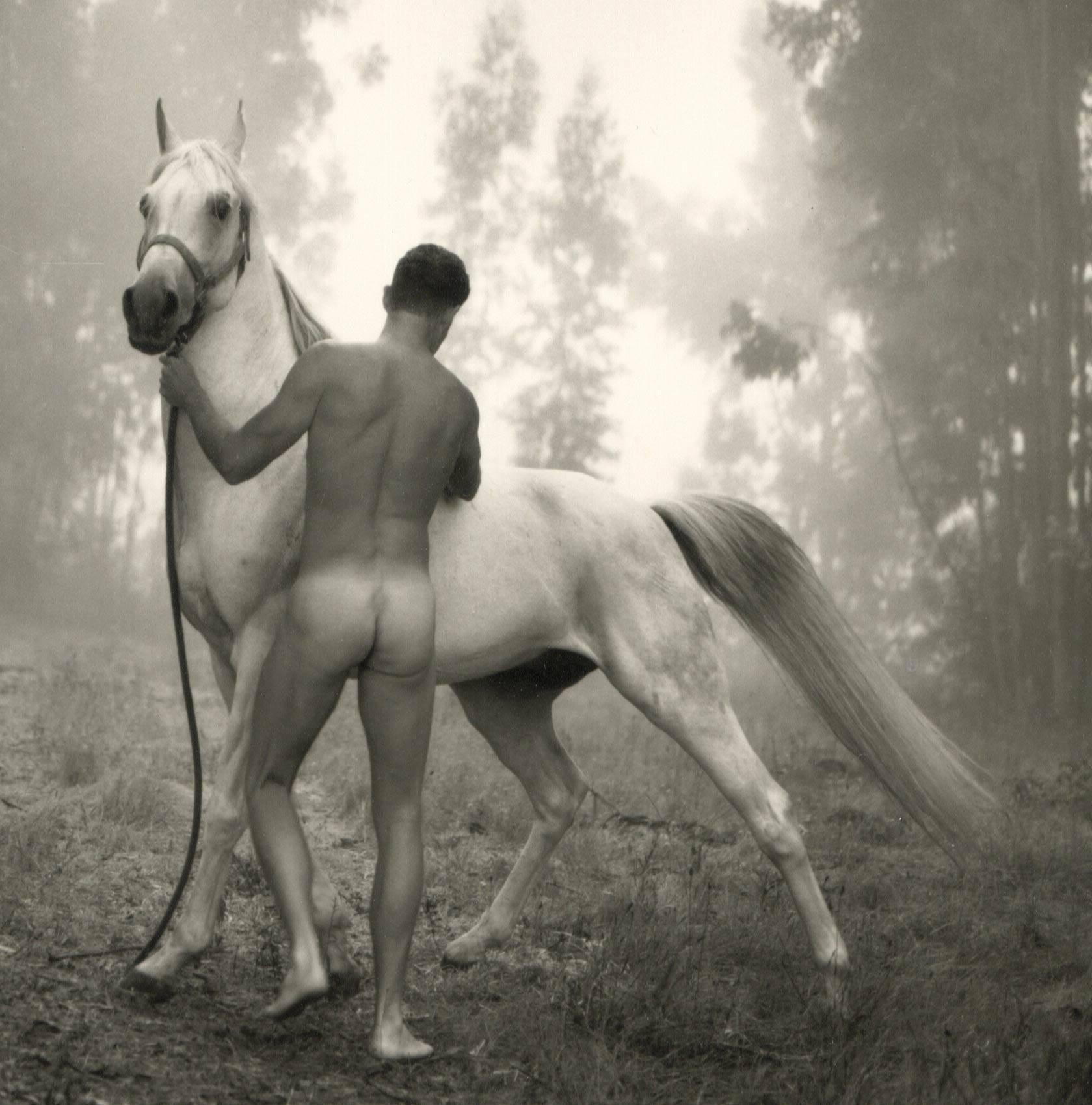 Groom with Arabian (white stallion groomed by a nude male in a leafy landscape) - Photograph by Arthur Tress