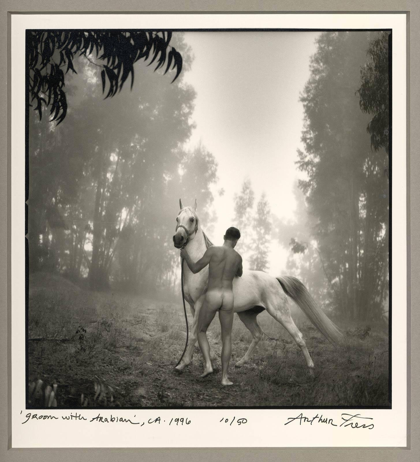 Arthur Tress Nude Photograph - Groom with Arabian (white stallion groomed by a nude male in a leafy landscape)