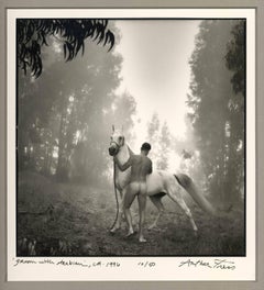 Groom with Arabian (white stallion groomed by a nude male in a leafy landscape)