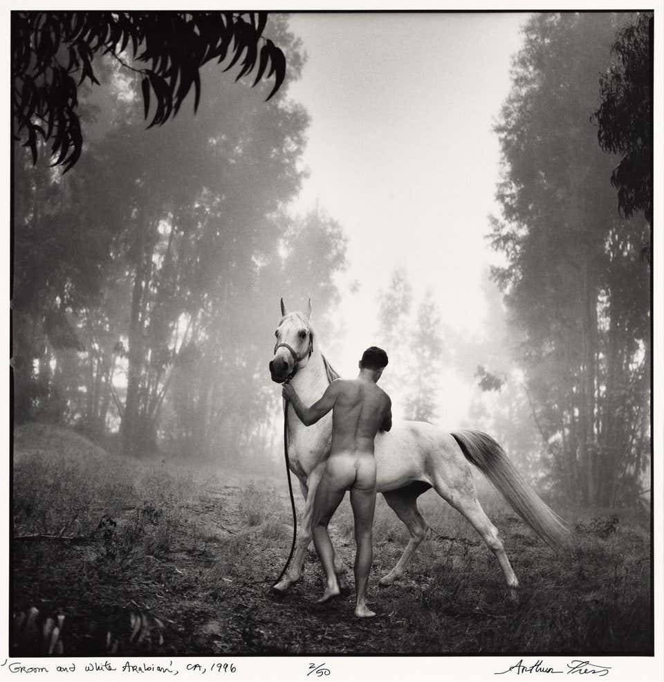Groom with the White Arabian, CA, Black and White Nude Male with Horse Tress