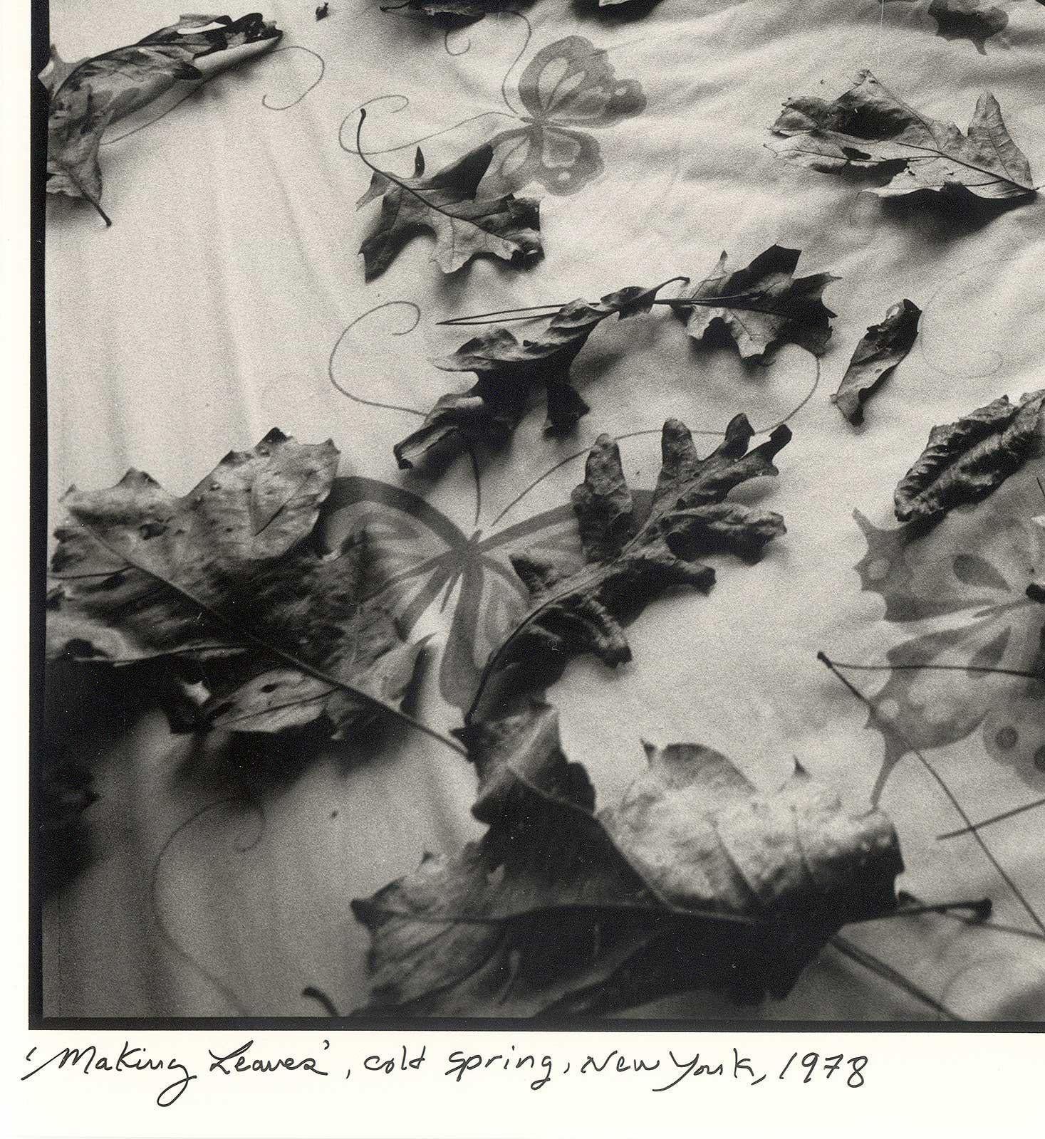 Leaves (ein sexy Stillleben, in dem 2 Reißverschlüsse und einige Blätter die Hitze aufsaugen) (Grau), Still-Life Photograph, von Arthur Tress