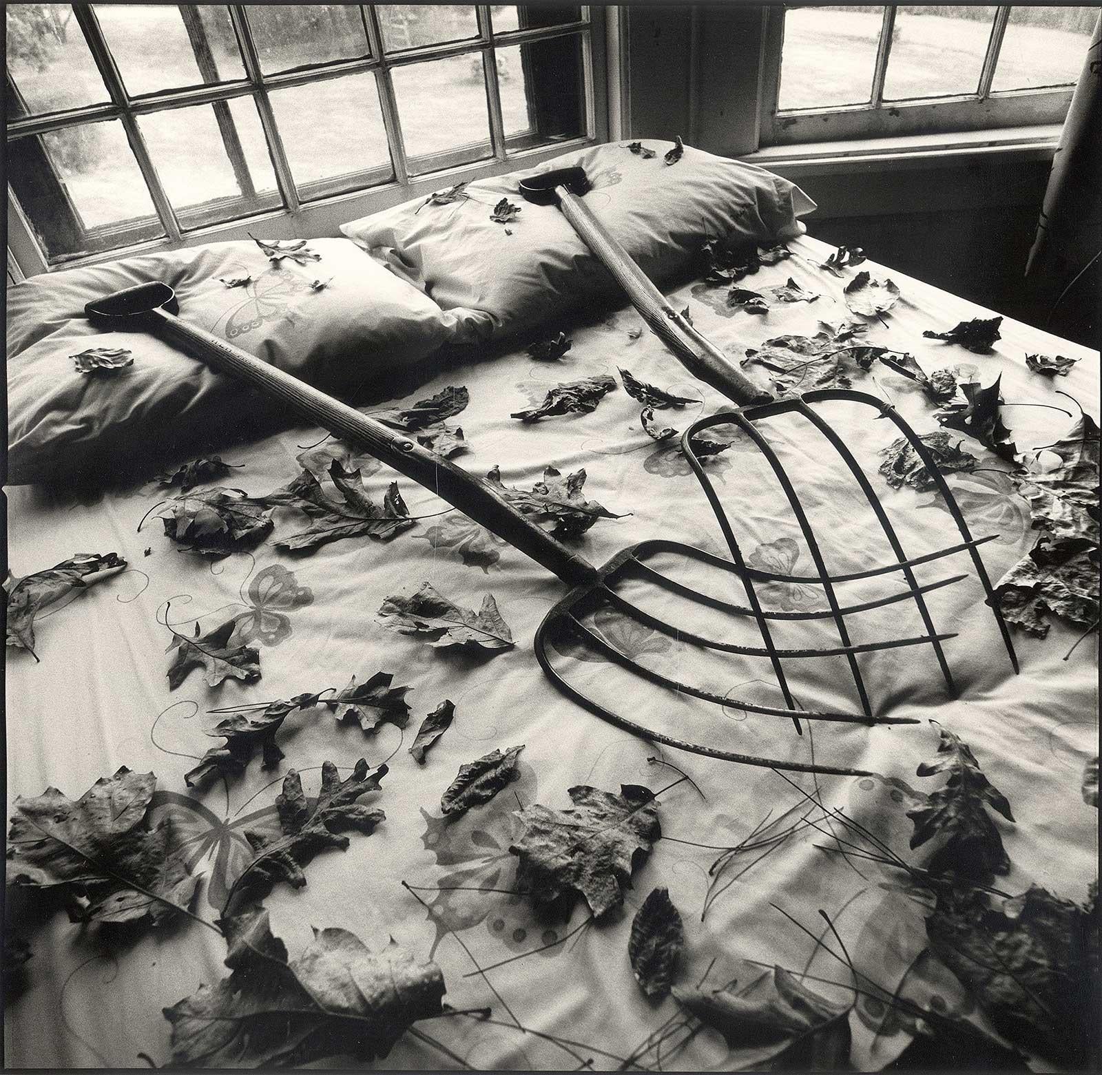 Arthur Tress Still-Life Photograph - Making Leaves (a sexy still life where 2 rakes and some leaves turn up the heat)