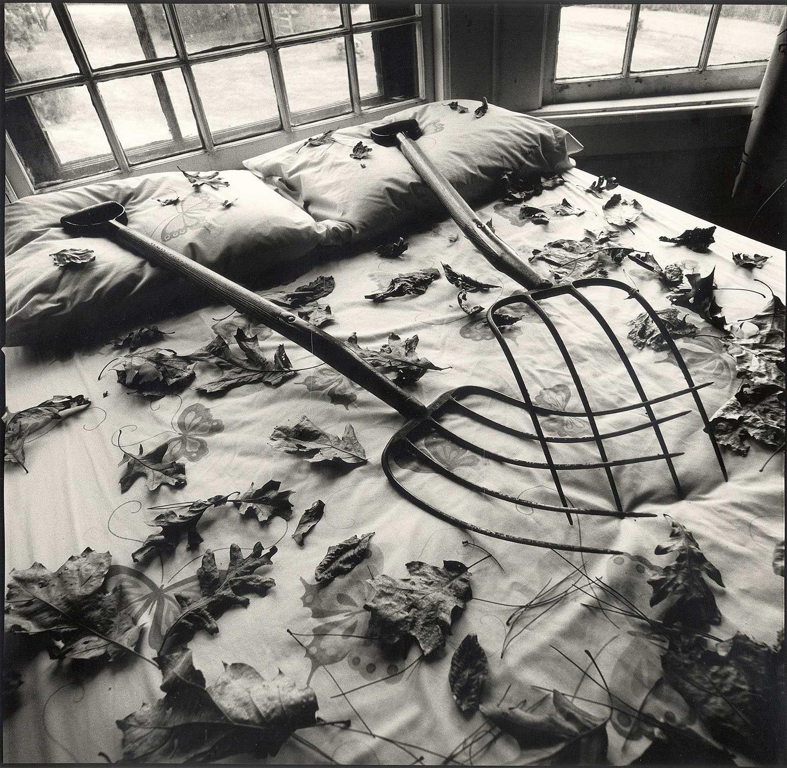 Arthur Tress Still-Life Photograph – Making Leaves – Anlässlich des Pride-Month