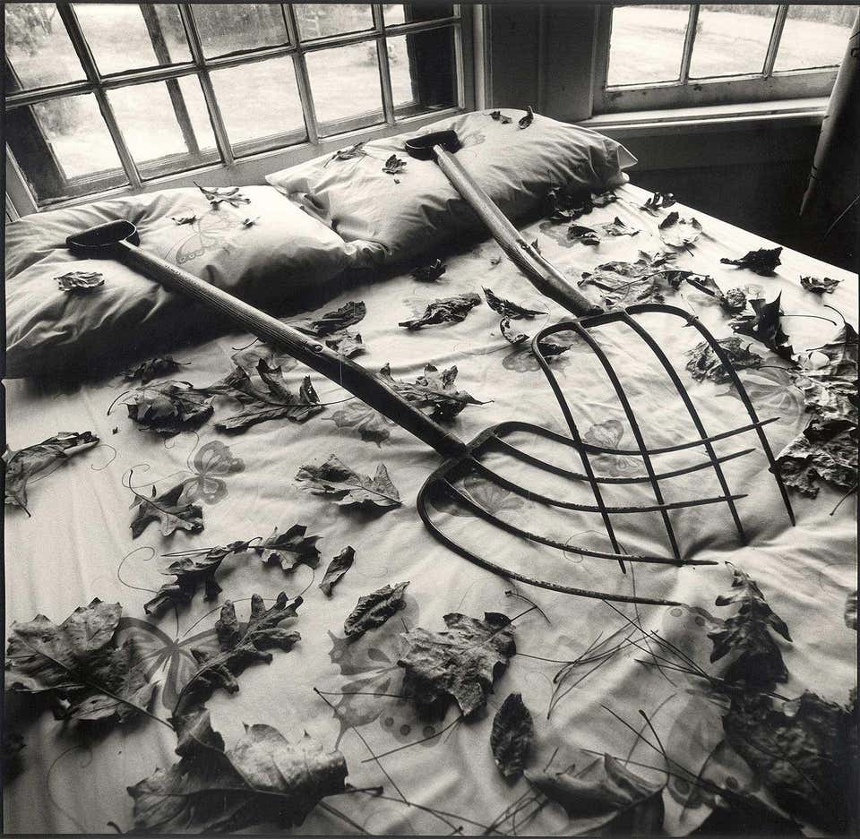 Silver Gelatin Print of Leaves, Contemporary Still-Life, Circa 1970s