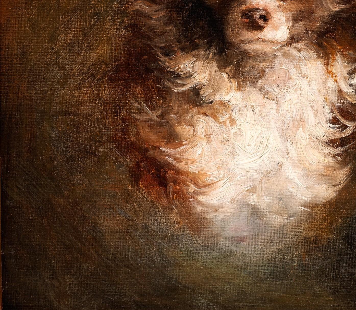 Dog Portrait of a Chihuahua- Arthur von Ferraris (Hungarian, 1856-1936) For Sale 9