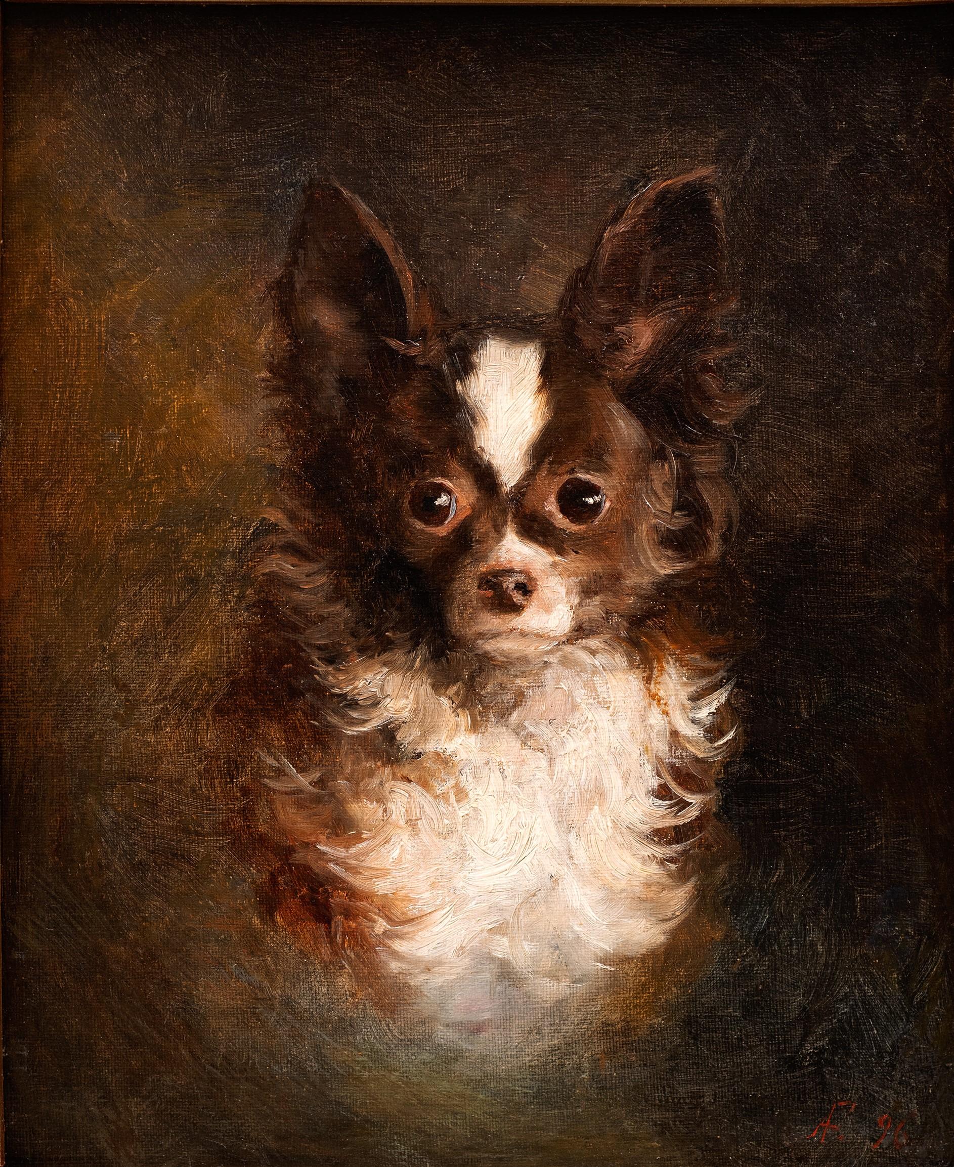 Dog Portrait of a Chihuahua- Arthur von Ferraris (Hungarian, 1856-1936) For Sale 1