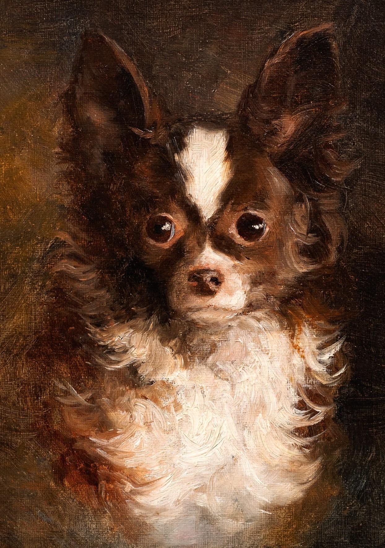 Dog Portrait of a Chihuahua- Arthur von Ferraris (Hungarian, 1856-1936) For Sale 2