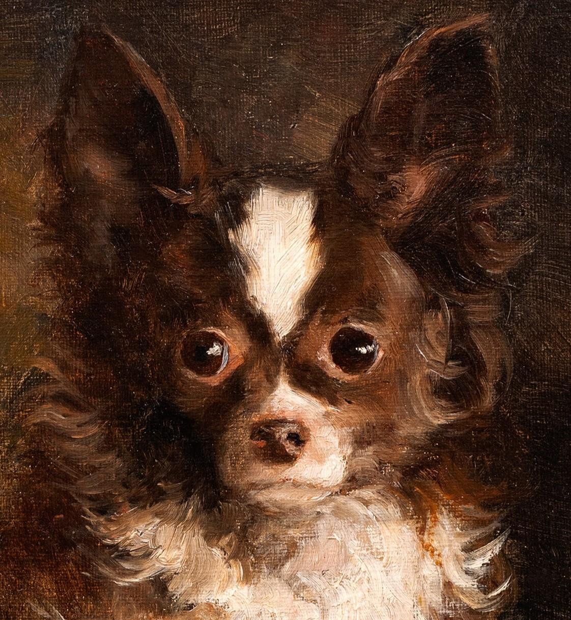 Dog Portrait of a Chihuahua- Arthur von Ferraris (Hungarian, 1856-1936) For Sale 3
