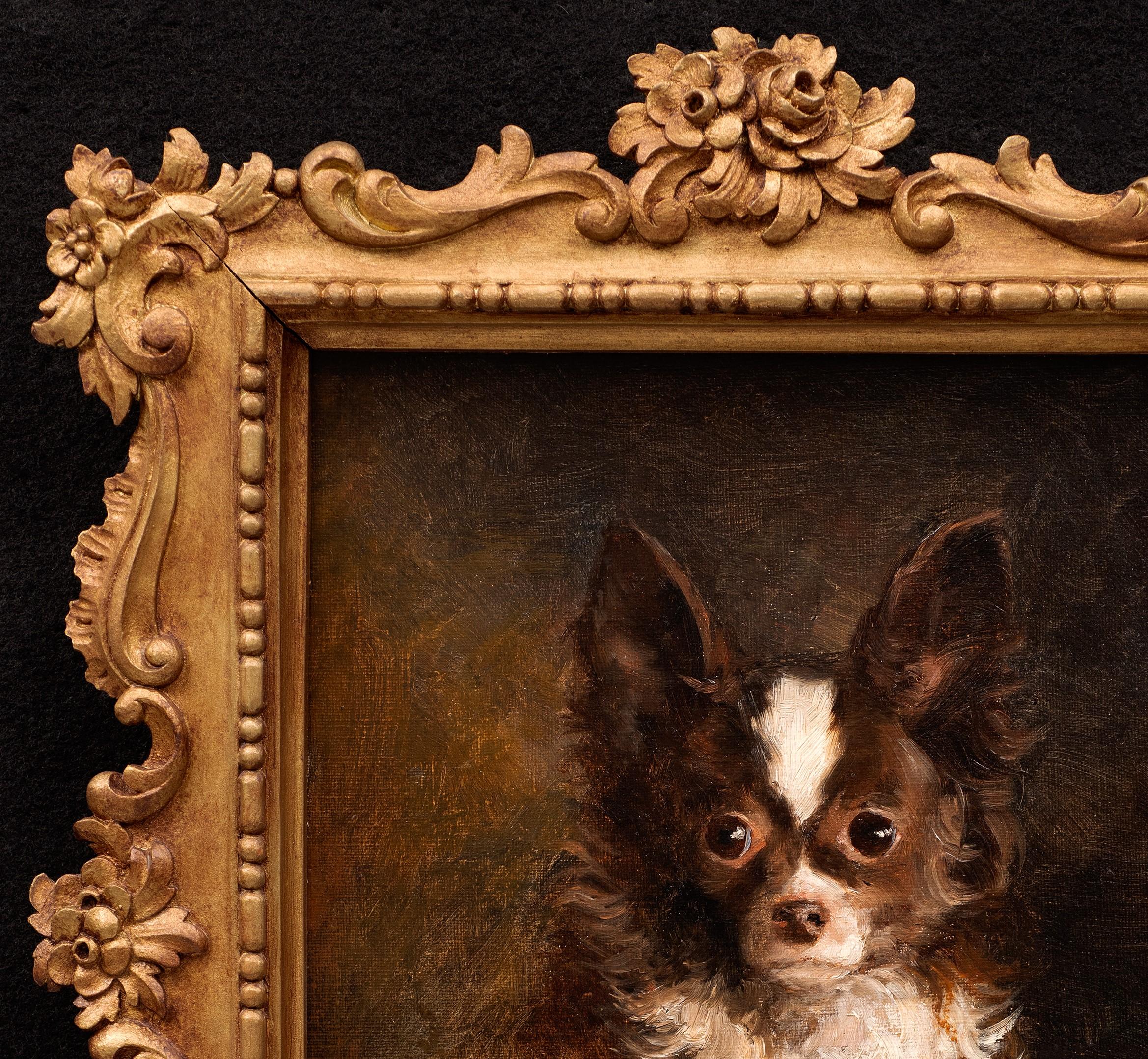 Dog Portrait of a Chihuahua- Arthur von Ferraris (Hungarian, 1856-1936) For Sale 4