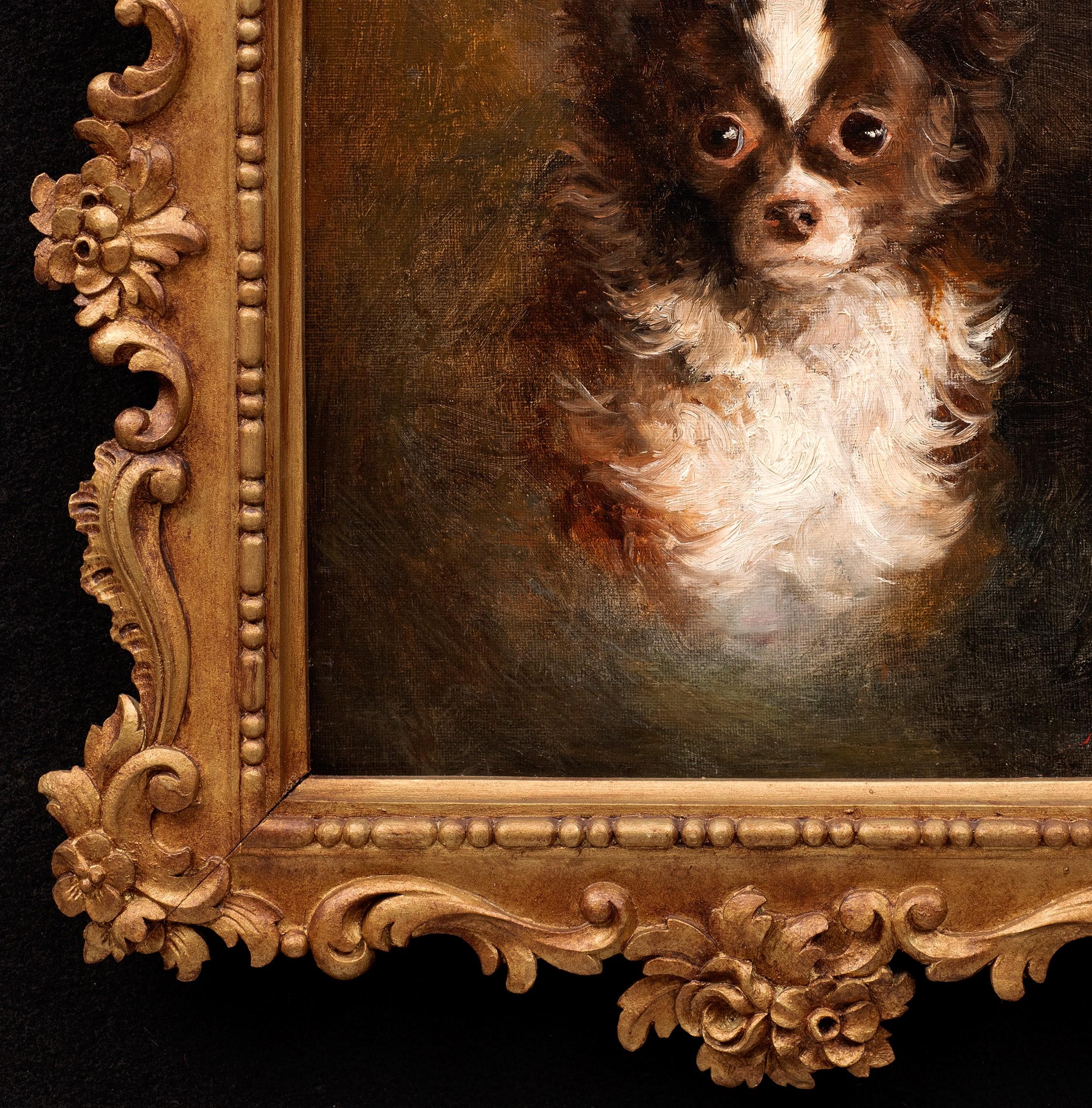 Dog Portrait of a Chihuahua- Arthur von Ferraris (Hungarian, 1856-1936) For Sale 5