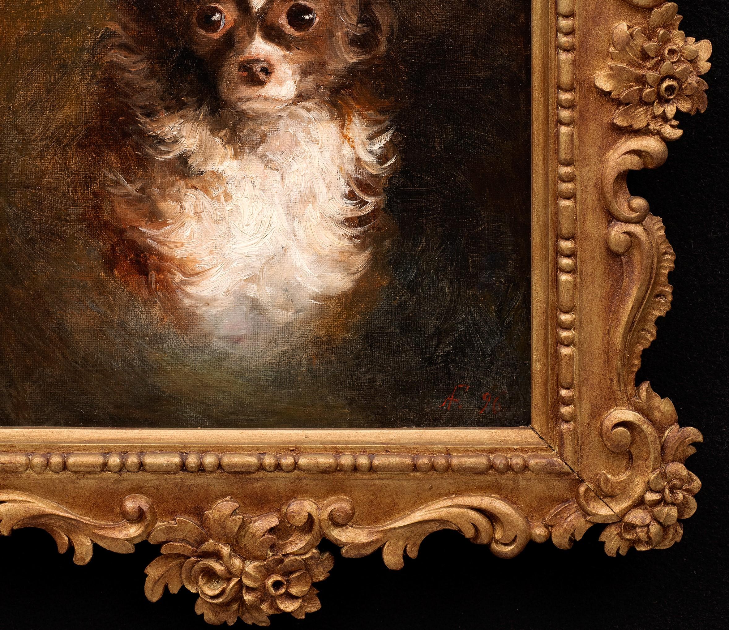 Dog Portrait of a Chihuahua- Arthur von Ferraris (Hungarian, 1856-1936) For Sale 6