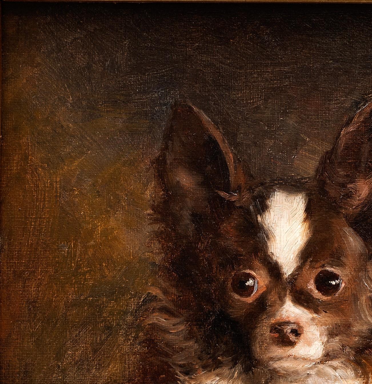 Dog Portrait of a Chihuahua- Arthur von Ferraris (Hungarian, 1856-1936) For Sale 7