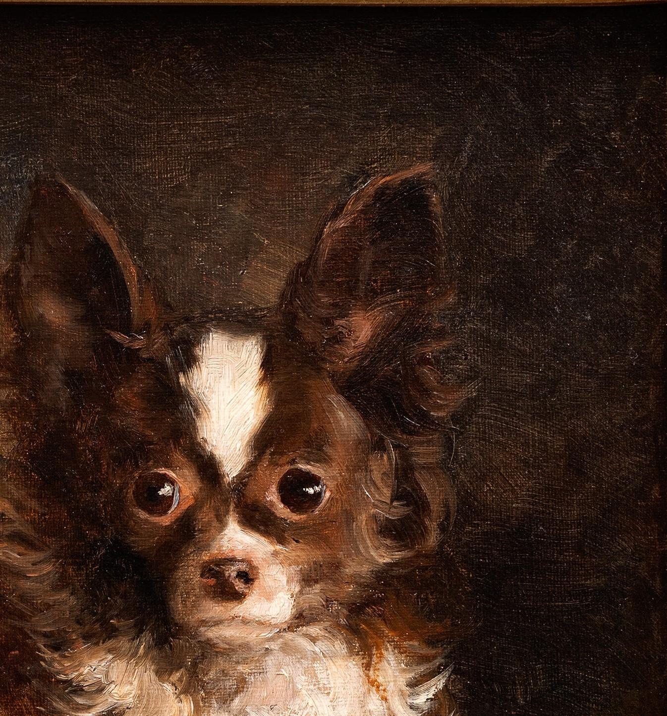 Dog Portrait of a Chihuahua- Arthur von Ferraris (Hungarian, 1856-1936) For Sale 8