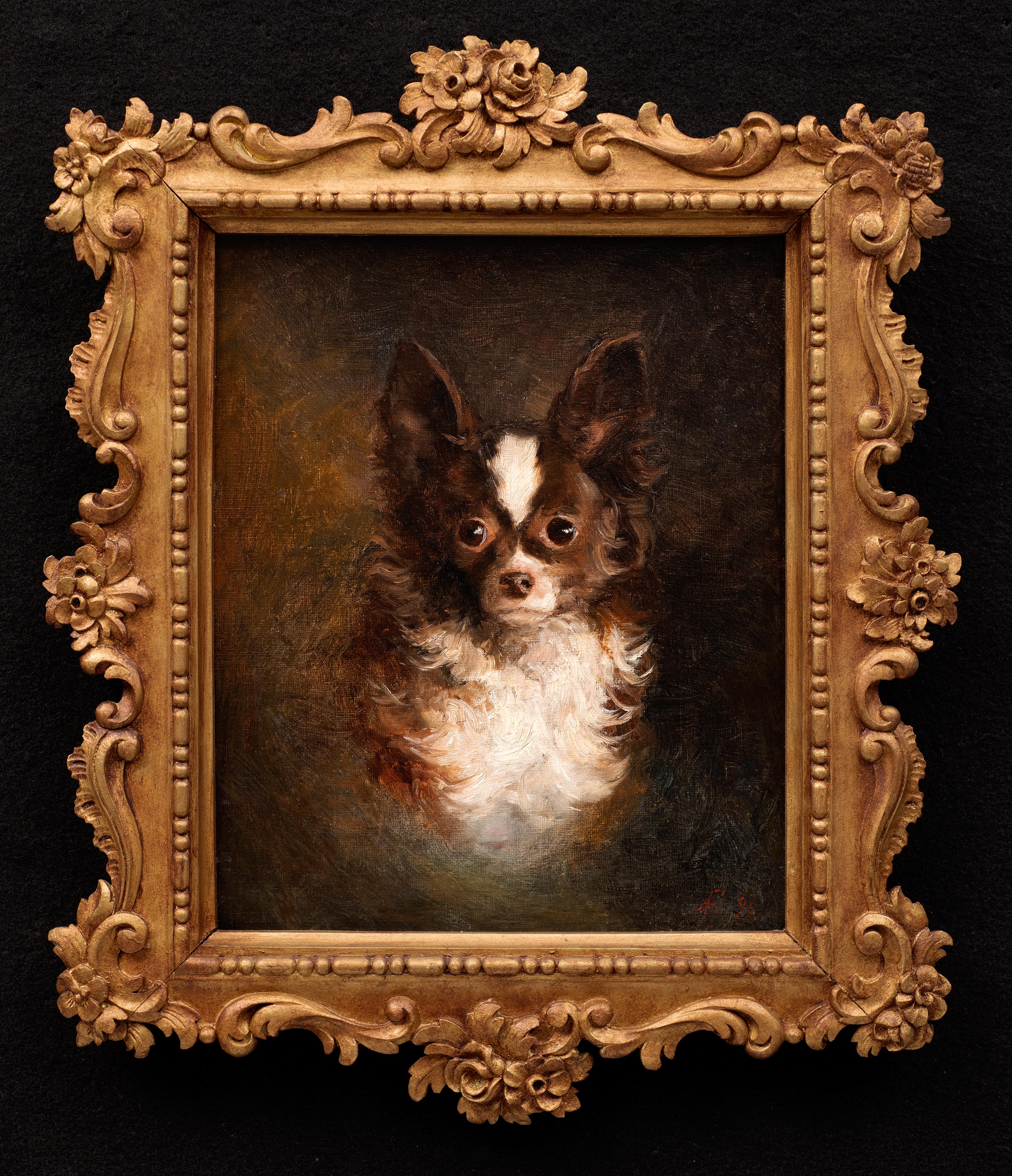 Animal Peintures