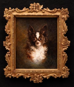 Dog Portrait of a Chihuahua 1896 Arthur von Ferraris (Hungarian, 1856-1936)