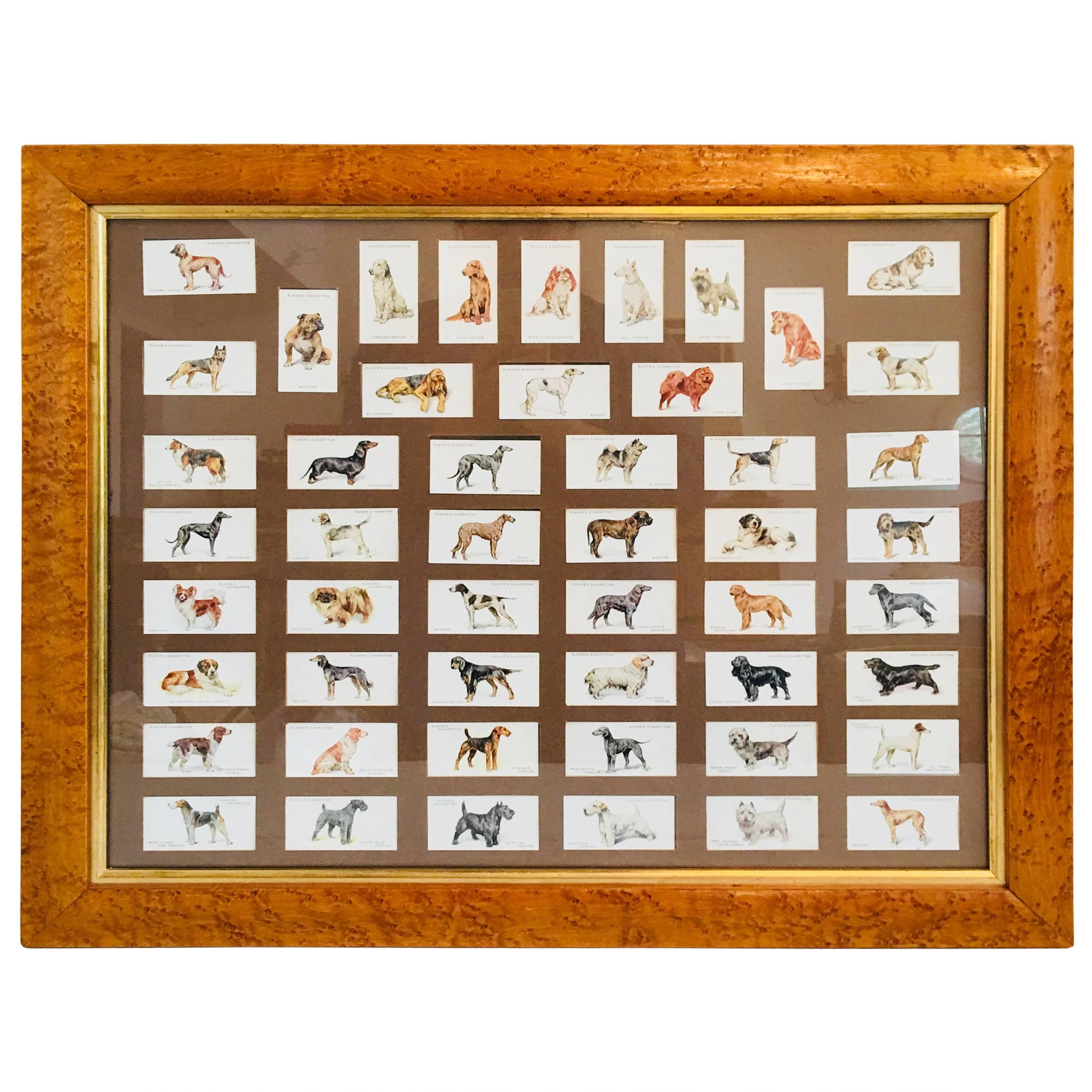 Arthur Wardle Framed Cigarette Cards