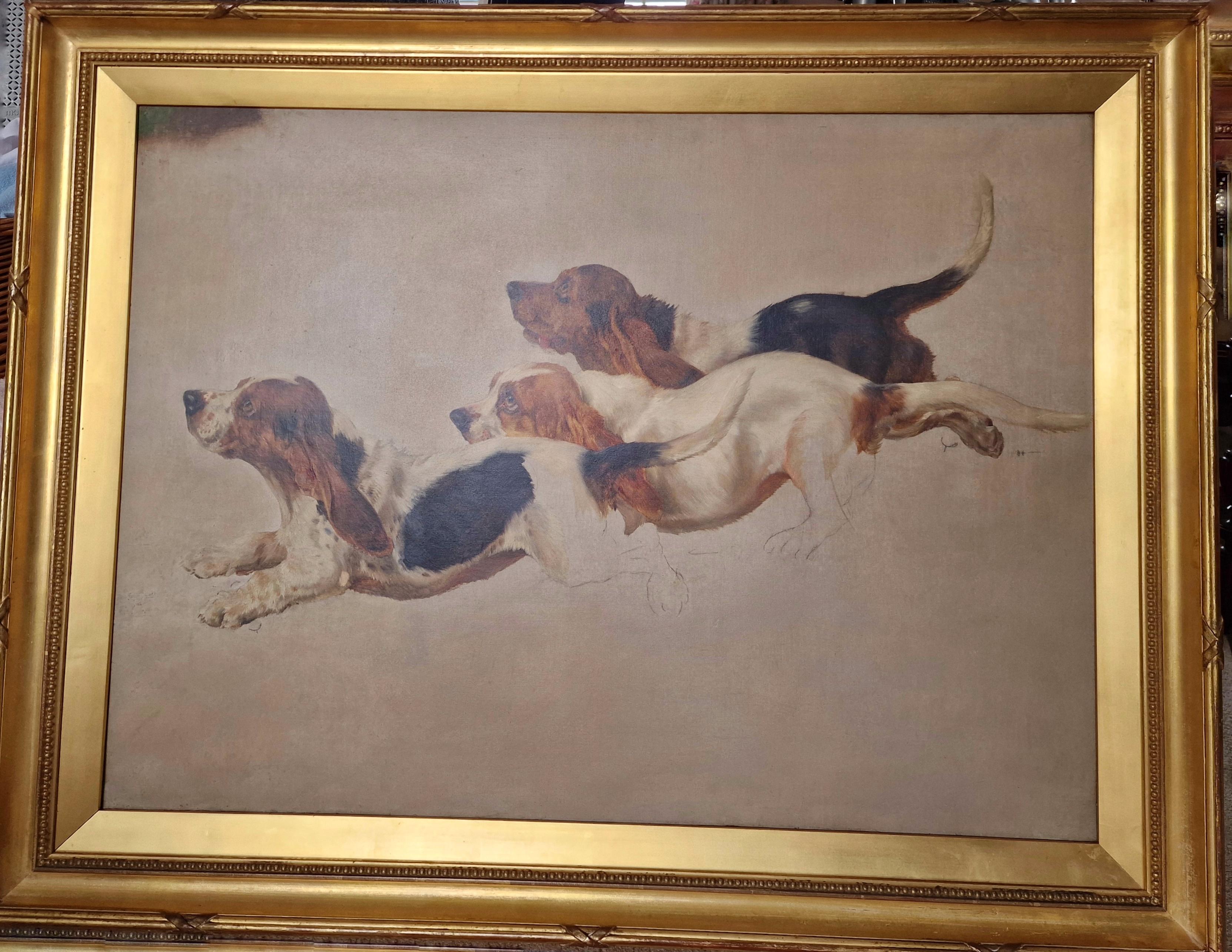 Estudio de tres Basset Hounds corriendo - Painting de Arthur Wardle