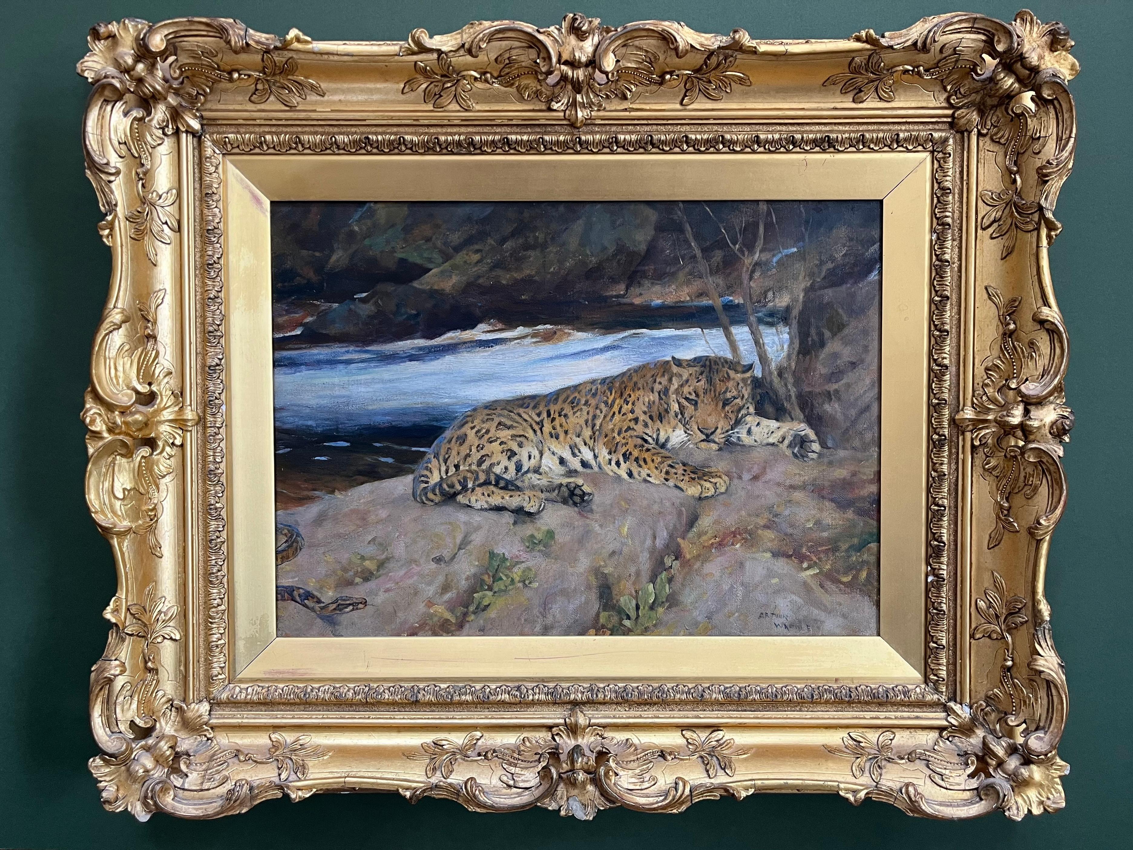 Arthur Wardle, dipinto a olio britannico raffigurante un leopardo che si crogiola vicino a un fiume in vendita 2