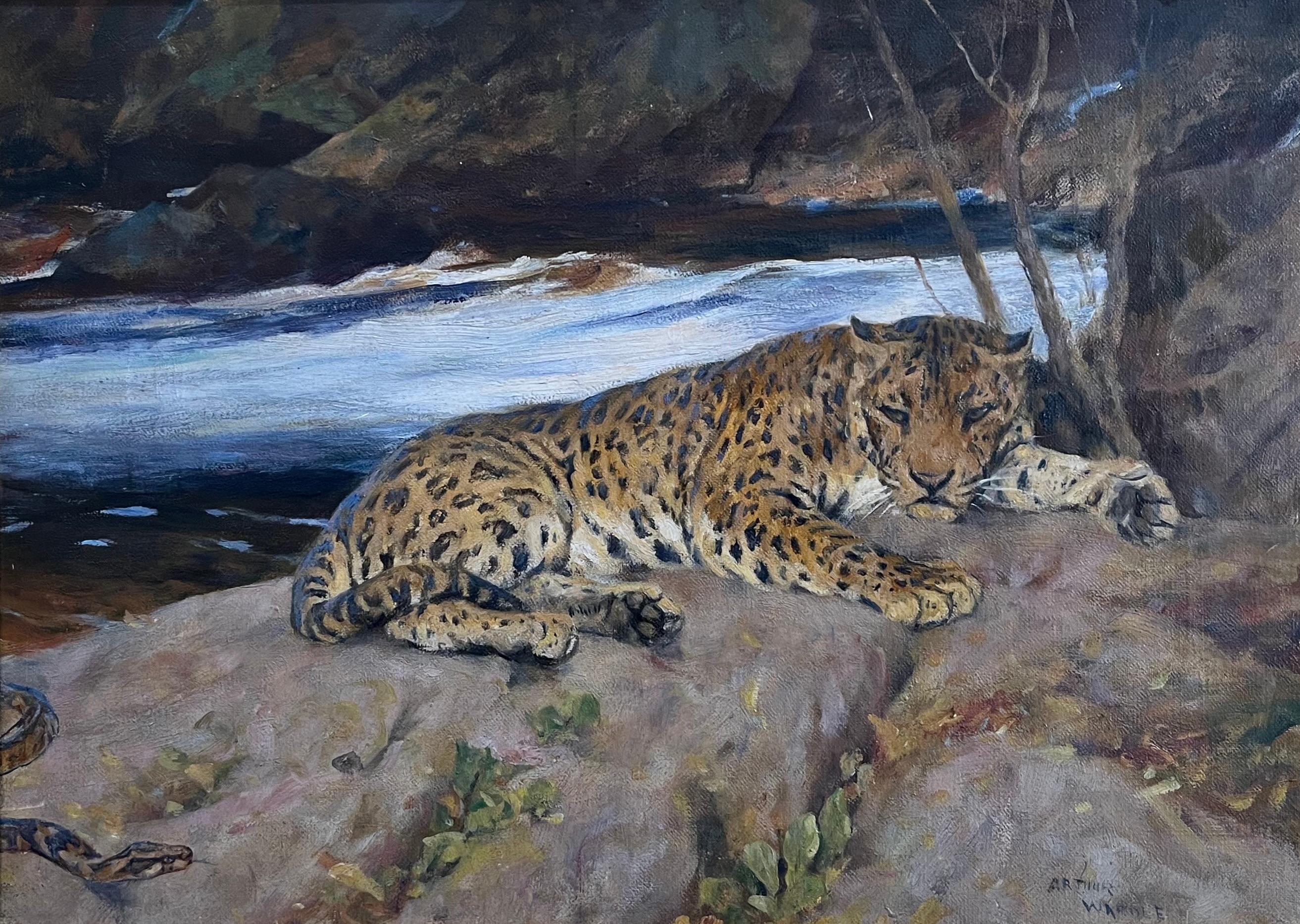 Arthur Wardle, dipinto a olio britannico raffigurante un leopardo che si crogiola vicino a un fiume in vendita 3