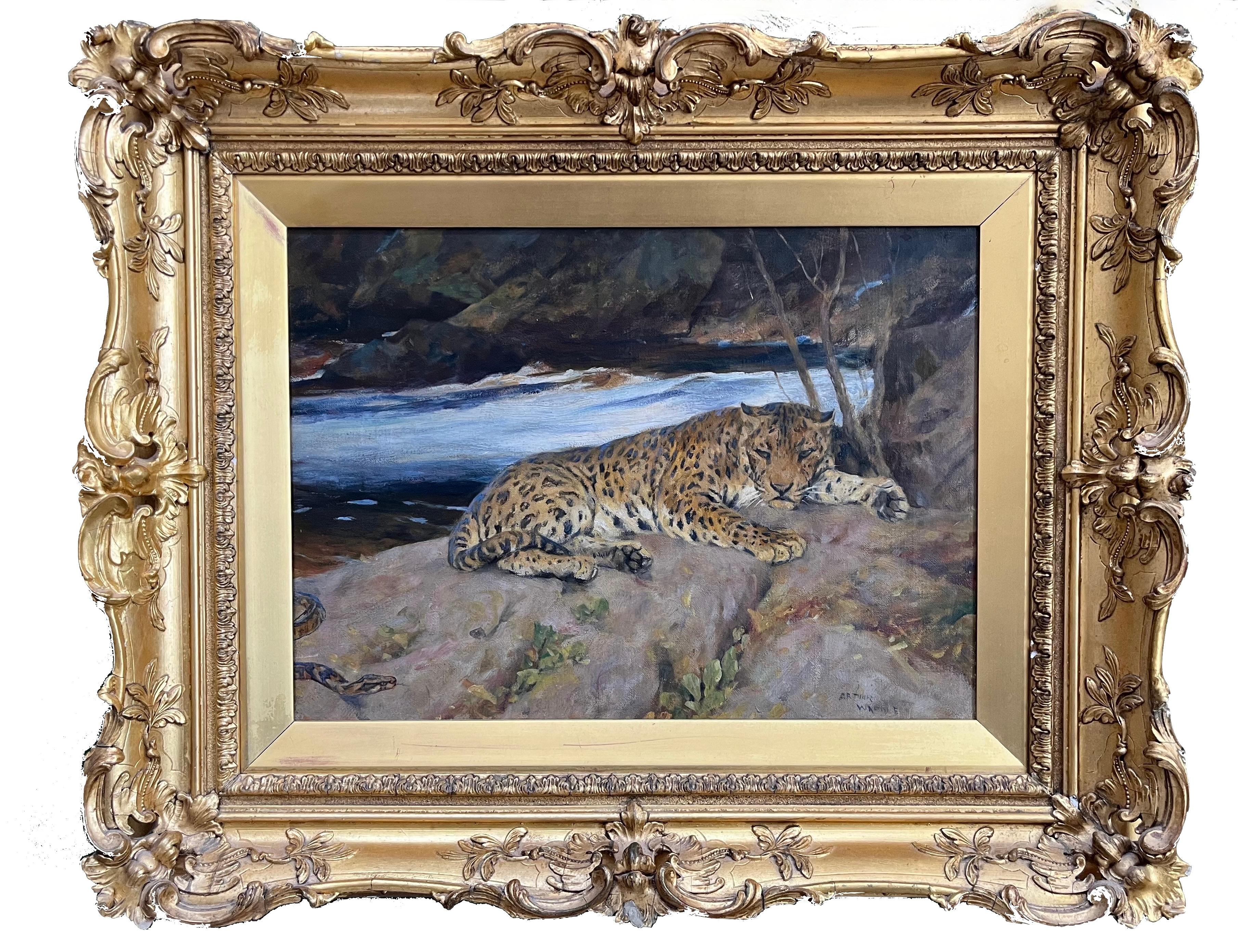 An incredibly captivating image of a leopard basking on a rock by a river. Not only is this a very striking study of a magnificent feline but there is also a narrative here with a python disturbing the leopard's peace; his paw turned, ready to swat