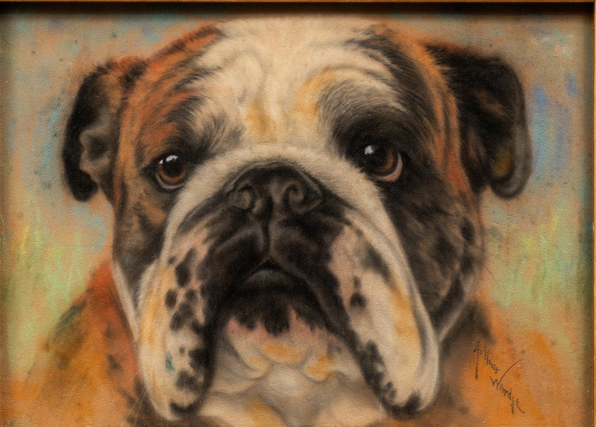 Antikes Porträt eines Bulldogges: „Big Ben“ von Arthur Wardle (England, 1864-1949) im Angebot 1