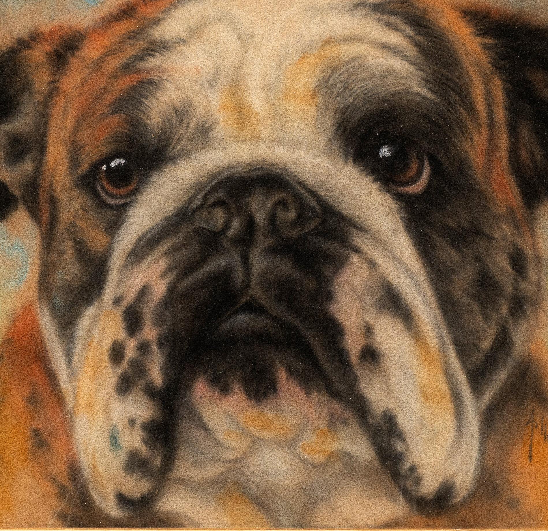 Antikes Porträt eines Bulldogges: „Big Ben“ von Arthur Wardle (England, 1864-1949) im Angebot 2