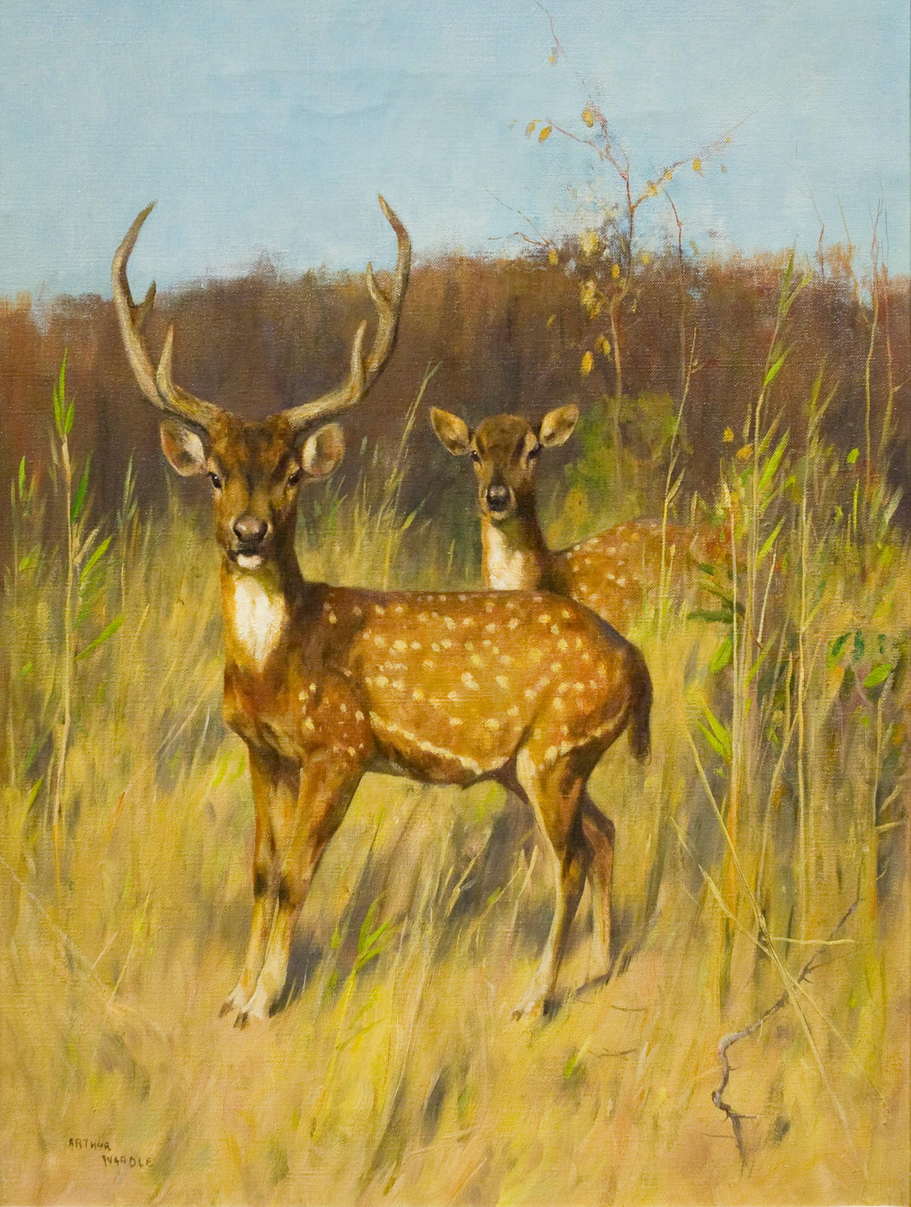 Chital in einer Landschaft 