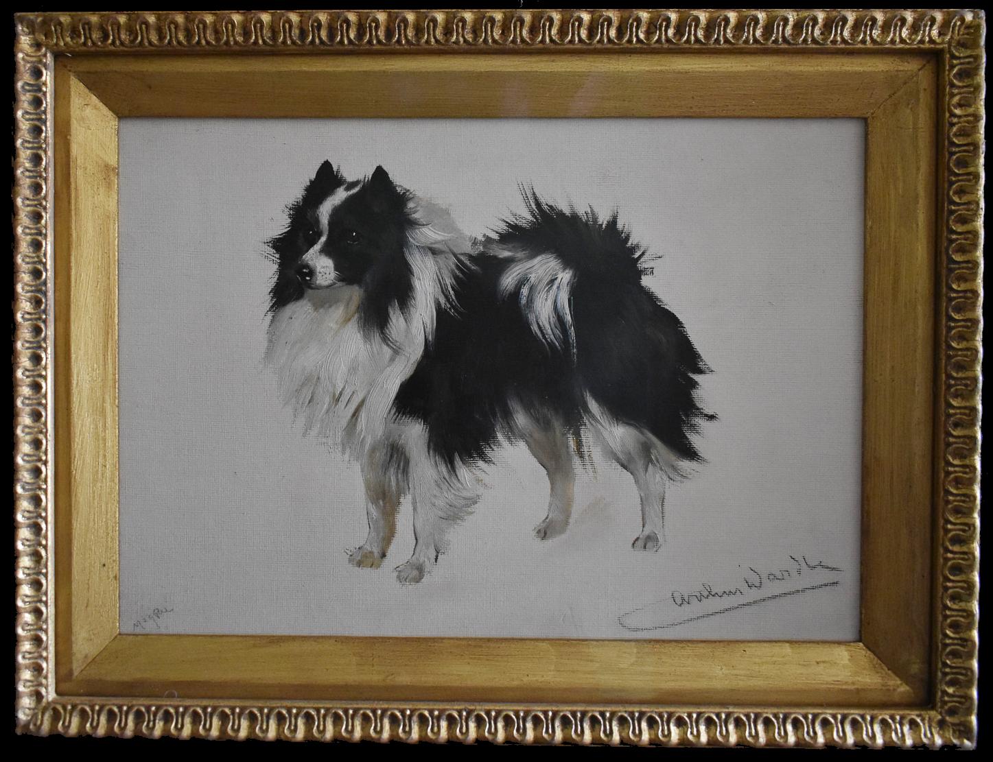 Arthur Wardle Animal Painting – Elster, ein Pomeranian
