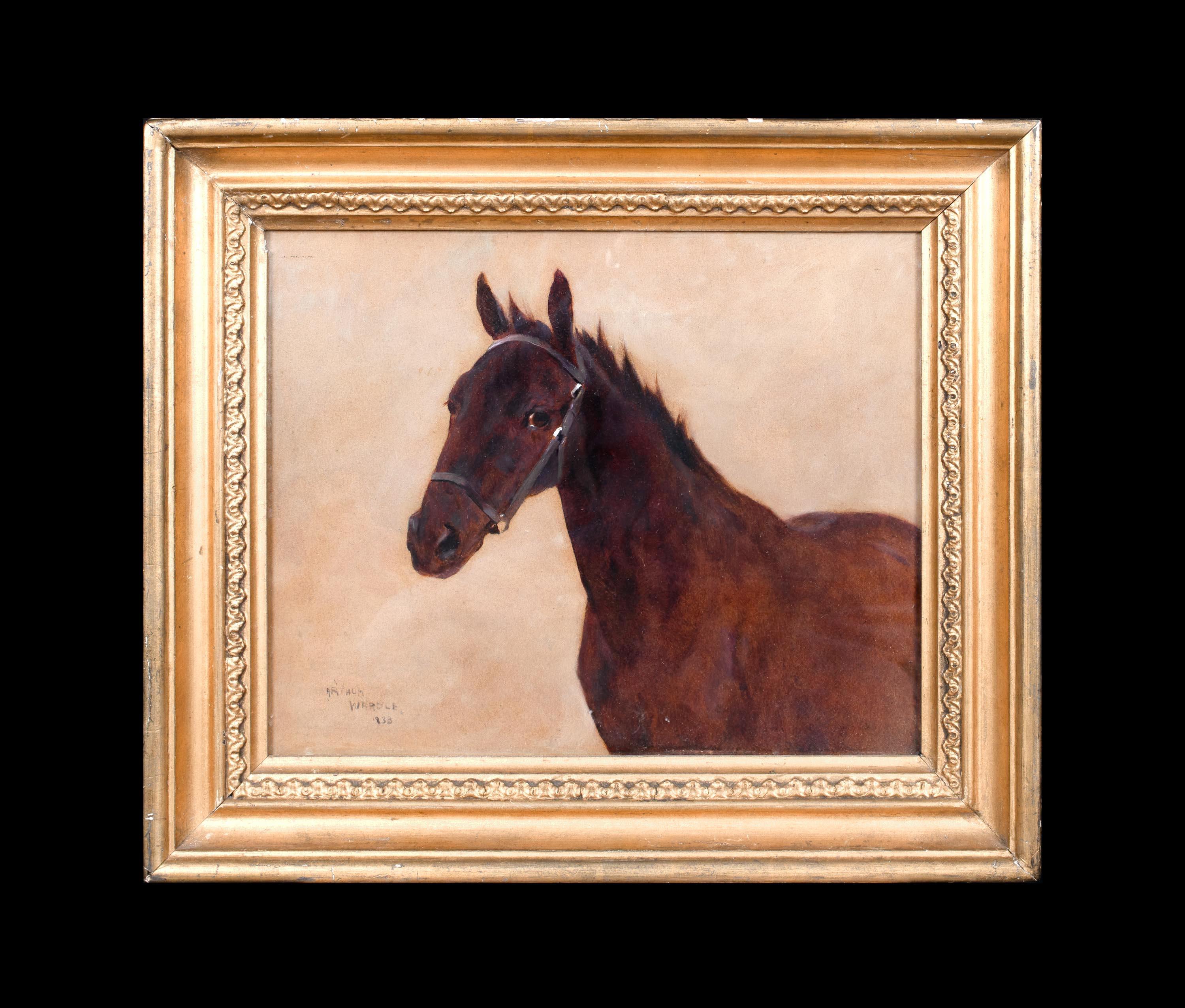 Portrait d'un cheval, 19e siècle  par Arthur WARDLE (1864-1949)   - Painting de Arthur Wardle