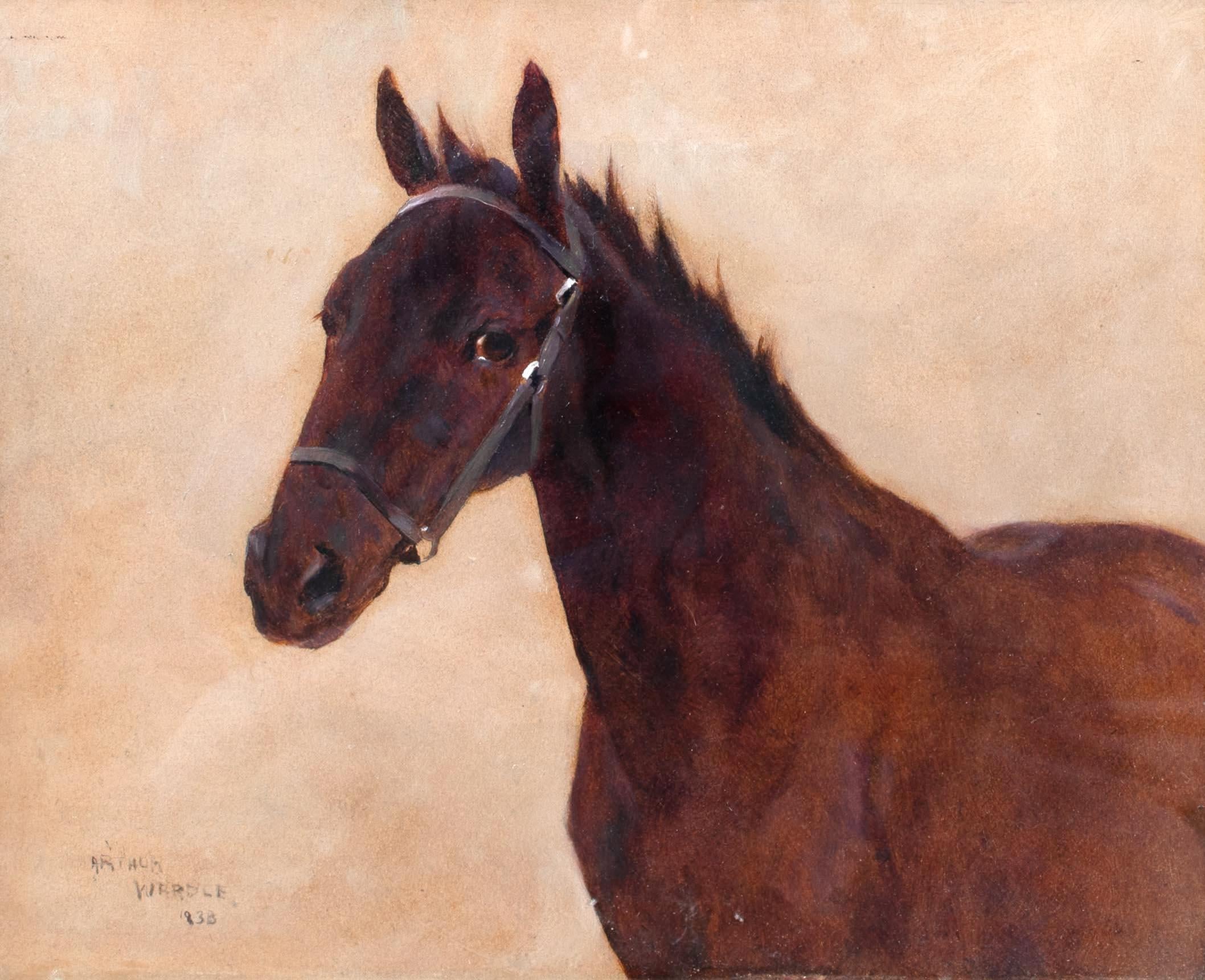 Portrait d'un cheval, 19e siècle

par Arthur WARDLE (1864-1949)

Portrait esquissé d'un cheval au 19e siècle, huile sur panneau par Arthur Wardle. Étude/esquisse de bonne qualité et en bon état, réalisée par un peintre animalier de premier plan de