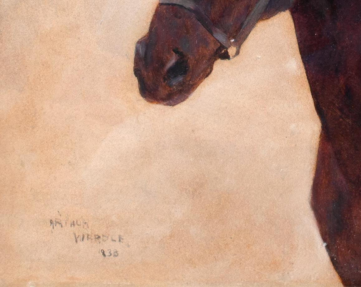 Portrait d'un cheval, 19e siècle  par Arthur WARDLE (1864-1949)   2