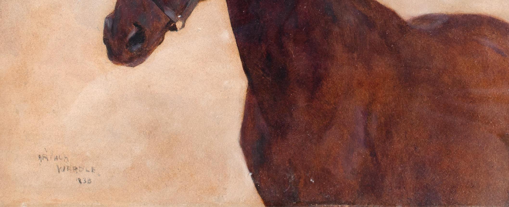 Portrait d'un cheval, 19e siècle  par Arthur WARDLE (1864-1949)   3