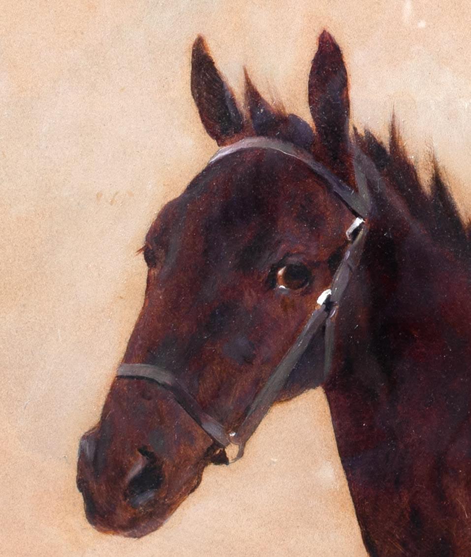 Portrait d'un cheval, 19e siècle  par Arthur WARDLE (1864-1949)   5