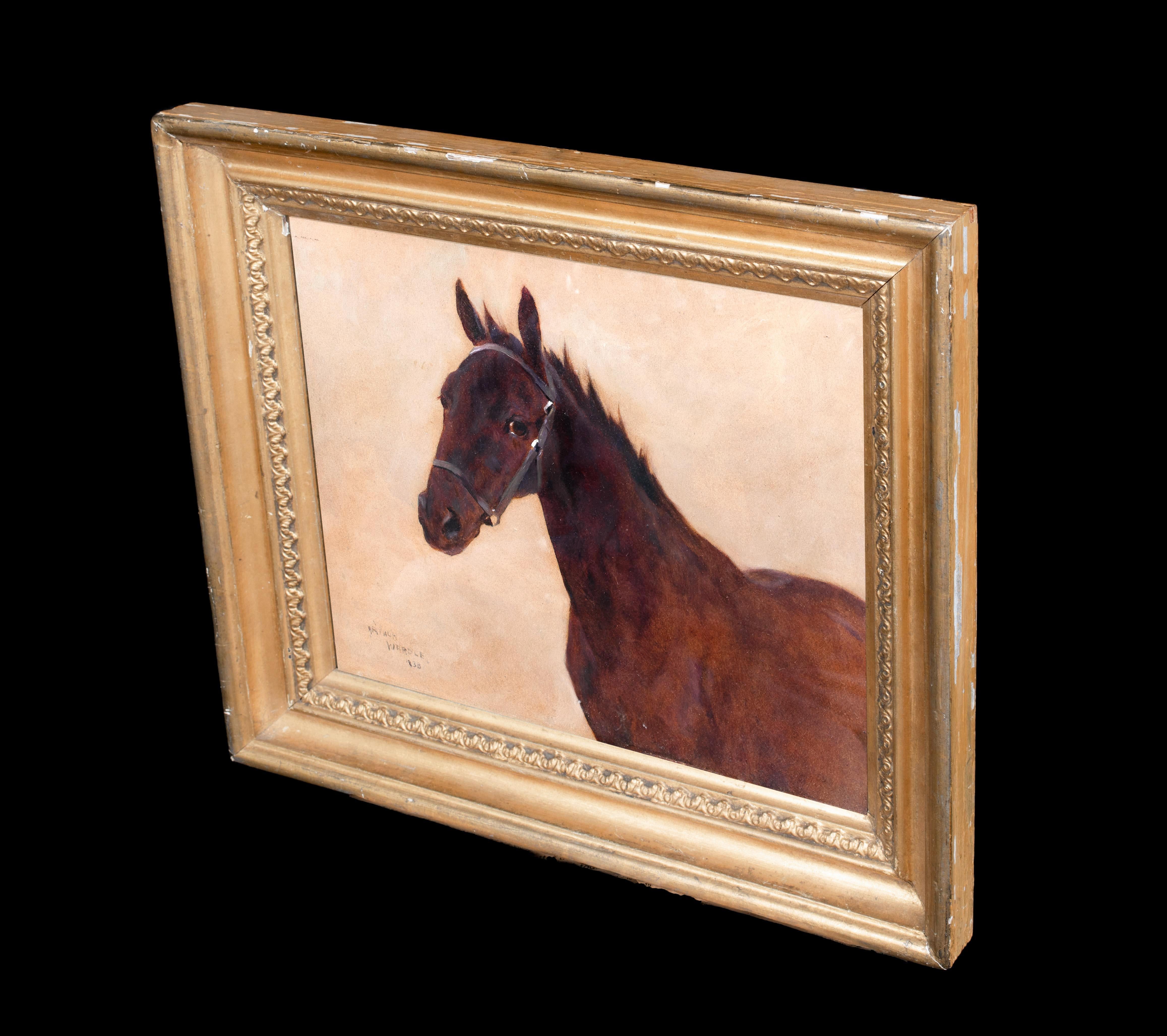 Portrait d'un cheval, 19e siècle  par Arthur WARDLE (1864-1949)   6