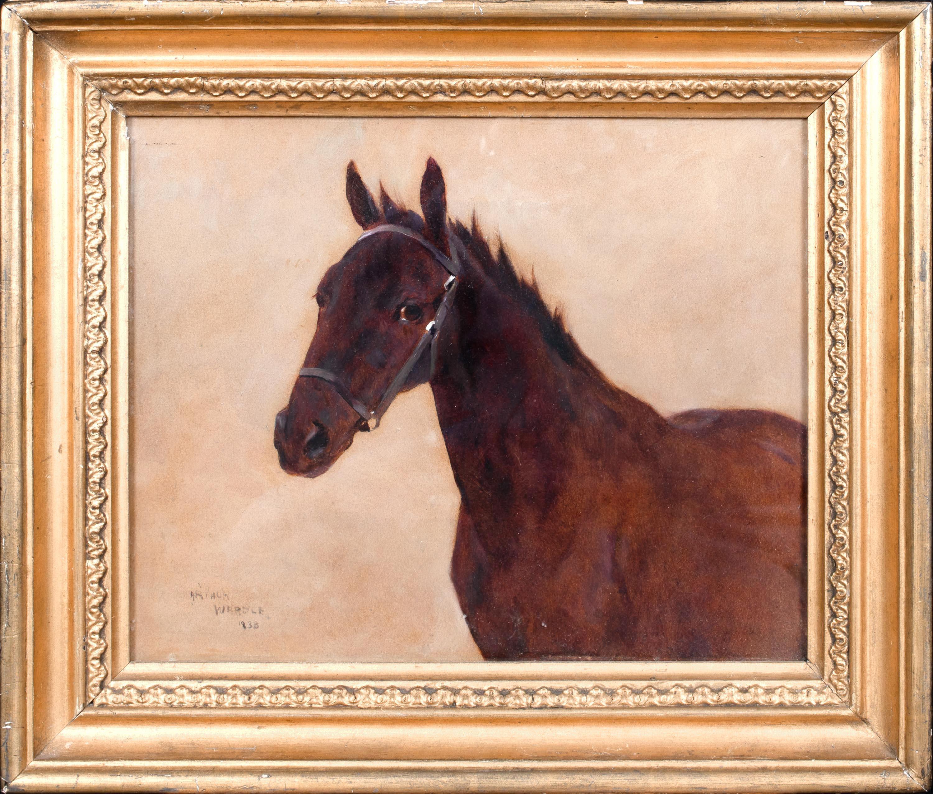 Animal Painting Arthur Wardle - Portrait d'un cheval, 19e siècle  par Arthur WARDLE (1864-1949)  