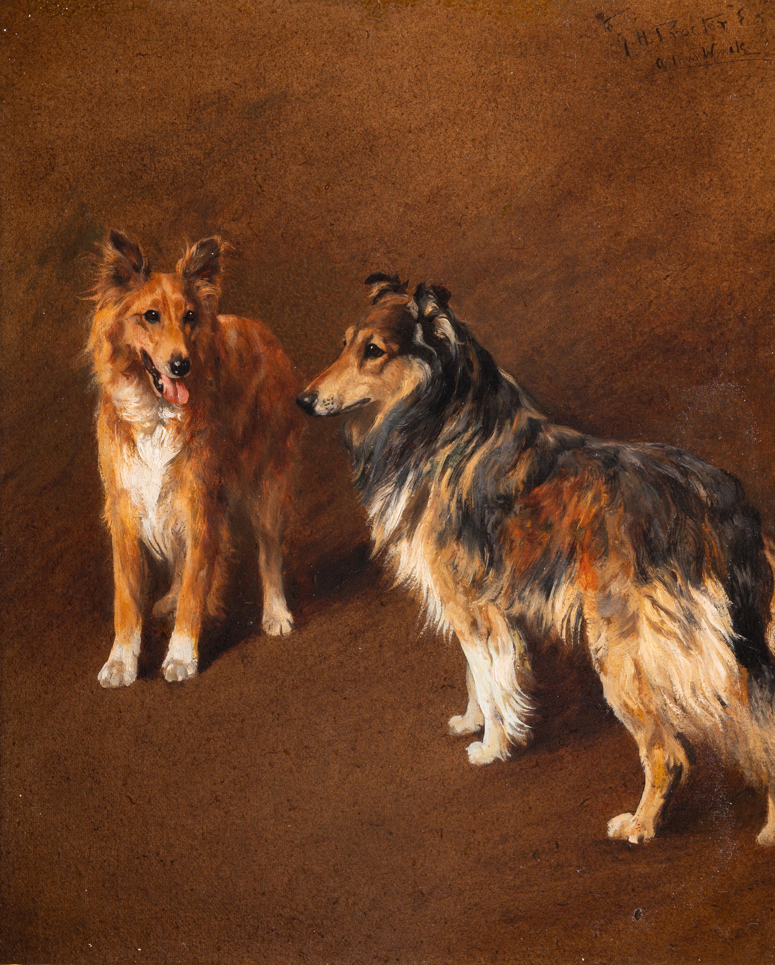 Study of two collies - Painting by Arthur Wardle