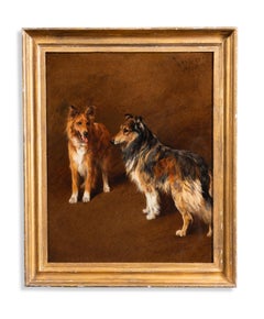 Study of two collies