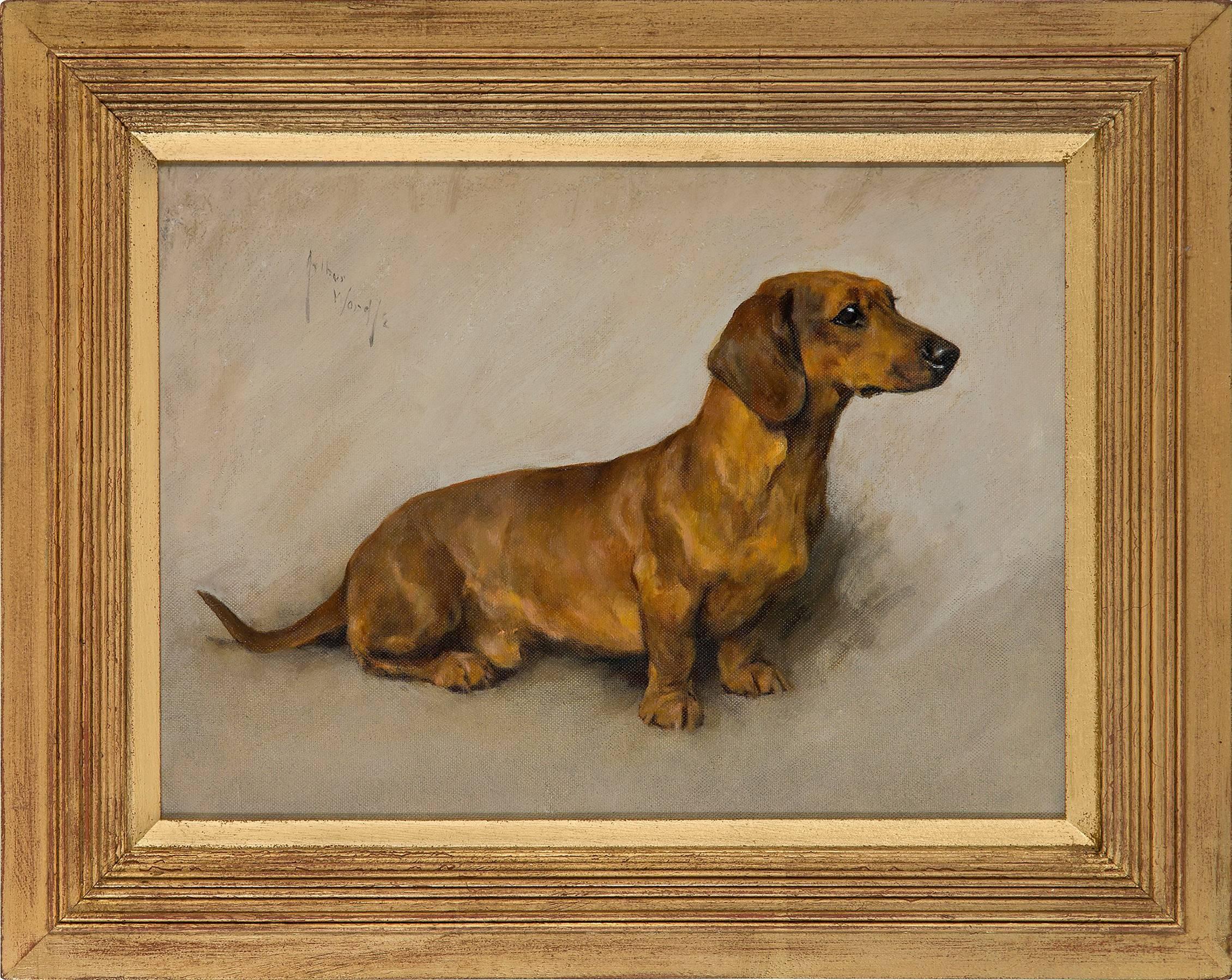 Arthur Wardle Animal Painting - A well behaved Dachshund - dog, oil painting