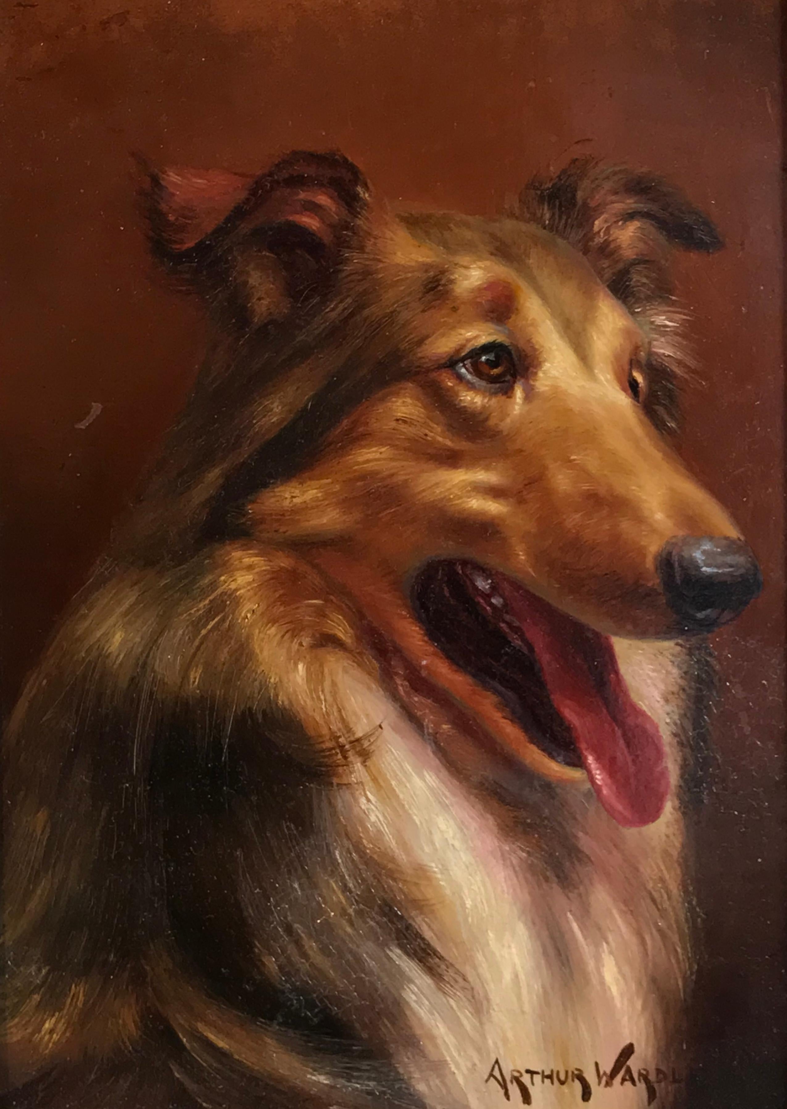 Arthur Wardle Animal Painting - Portrait of a Collie Dog, signed original oil painting