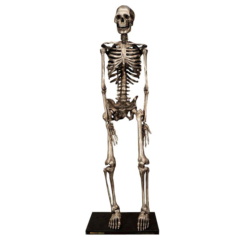 Articulated Silvered Bronze Anatomically Correct Skelton For Sale